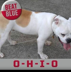 Meet your Posher, Todd